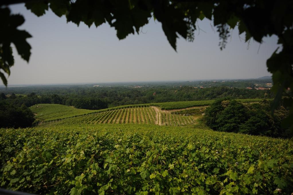 Locanda Villa Cavalleri Gattinara Eksteriør billede